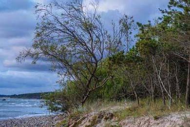 传奇手游中的技能点奥秘