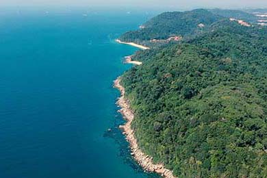 传奇手游后期职业深度解析